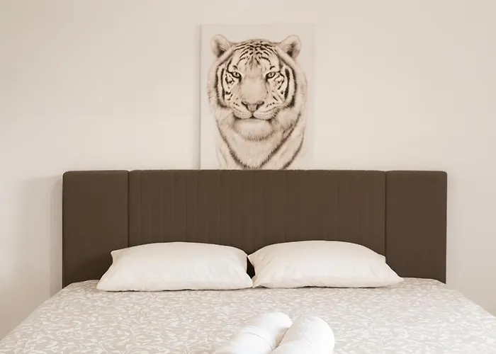 Cc Porto Apartamento *